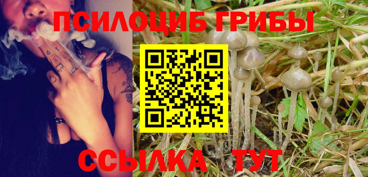Галлюциногенные грибы прущие грибы  Вход с VPN  Галлюциногенные грибы Magic Shrooms  Ялуторовск 